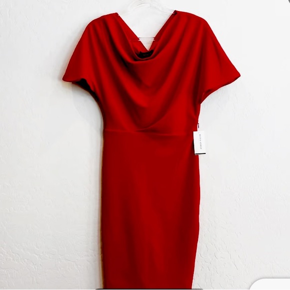 Alexia Amdor Dresses & Skirts - Alexia Amdor Women's Olivia Draped Sheath Dress. Crimson, Knee Length. Size S.